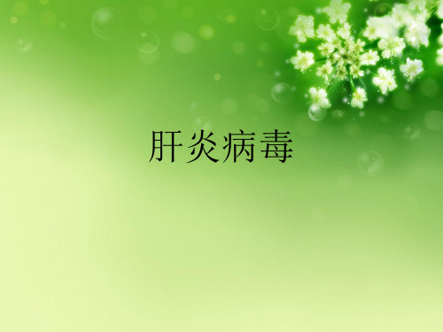 肝炎病毒 优秀课件