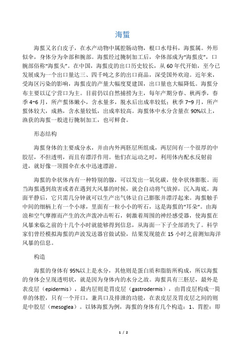 海蜇简介