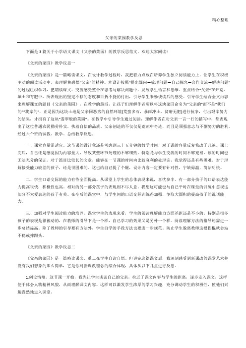 父亲的菜园教学反思