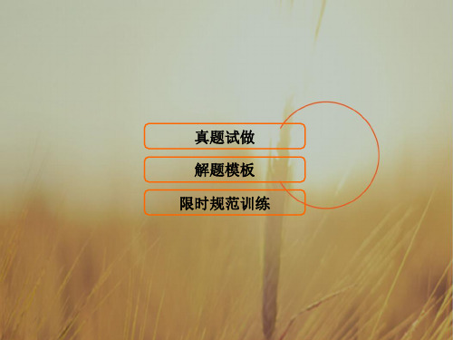 2018届高三物理二轮复习课件：第1部分 专题三 电场和磁场 1-3-3-3