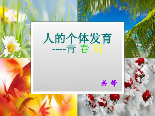 苏科版初中生物八上第七单元21.2《人的个体发育--青春期》课件(24张)(共24张PPT)
