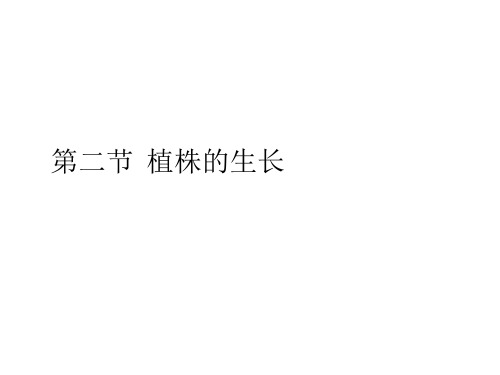 人教版七年级生物上册3.2.2植株的生长课件2(共29张PPT)