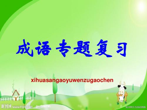 成语专题