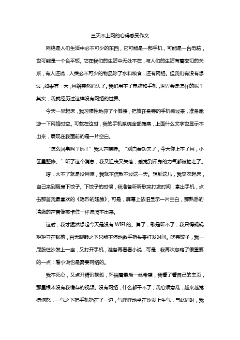 三天不上网的心得感受作文