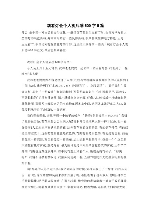 观看灯会个人观后感600字5篇