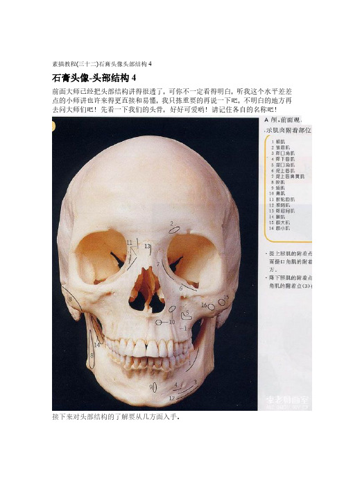 素描教程(三十二)石膏头像头部结构4