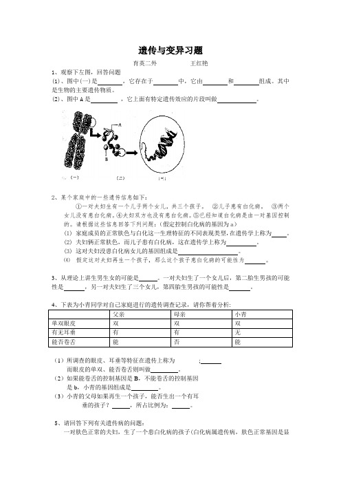 生物中考遗传与变异大题