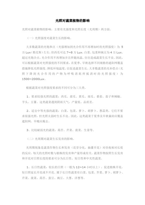 光照对蔬菜植物的影响