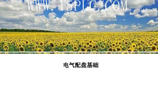 电气配盘基础