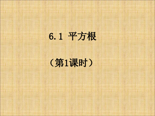平方根(4份)精选教学PPT课件