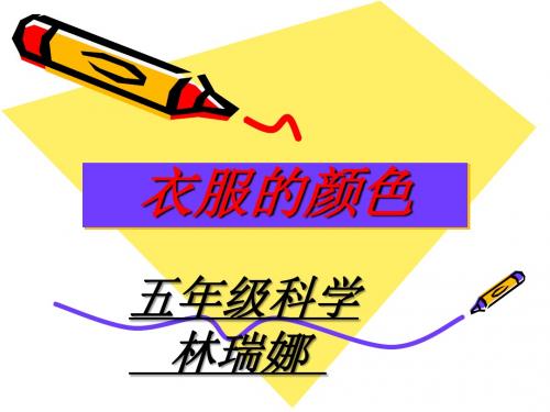 15《衣服的颜色》课件