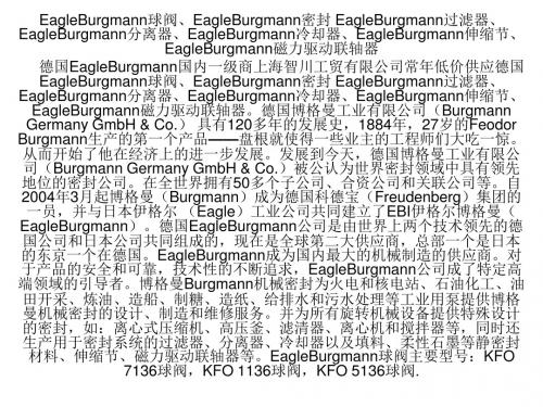 EagleBurgmann密封