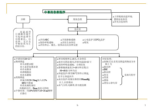 《急诊抢救程序》PPT课件