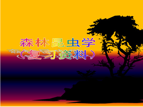 森林昆虫学(复习)