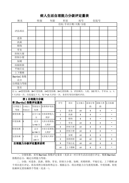 病人生活自理能力分级评定量表