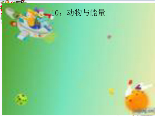 最新六年级科学上册第10课动物与能量3冀教版优选教学课件
