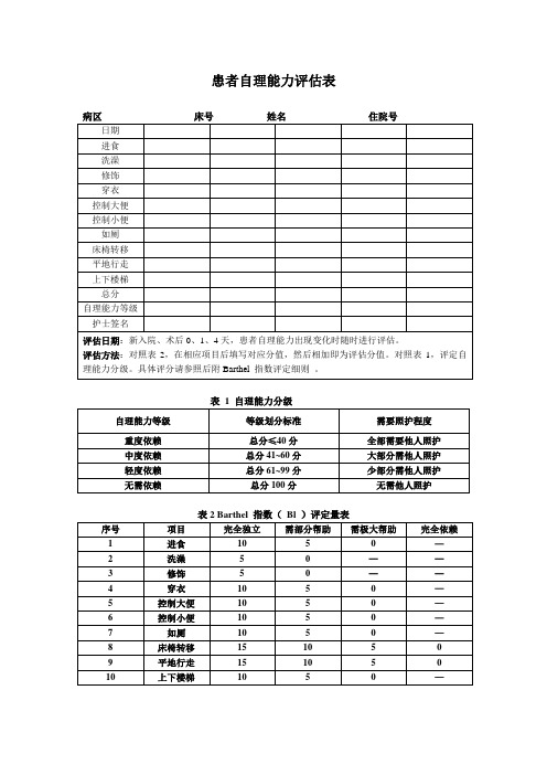 患者自理能力评估表2p