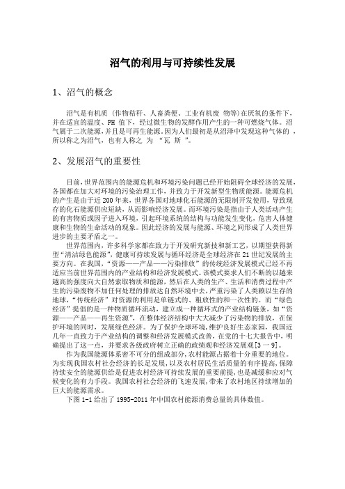 沼气的利用与可持续性发展