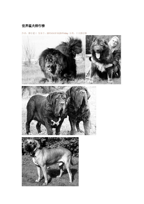 世界猛犬排行榜