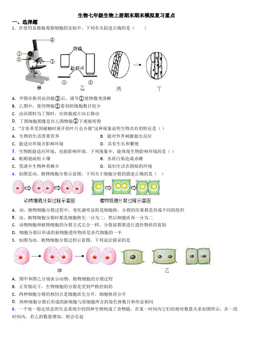 生物七年级生物上册期末期末模拟复习重点