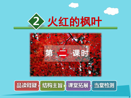 二年级语文上册第一单元第2课火红的枫叶(第2课时)精选教学PPT课件北师大版