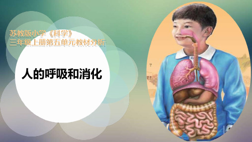 苏教版三年级上册科学第5单元  人的呼吸和消化  教材分析课件