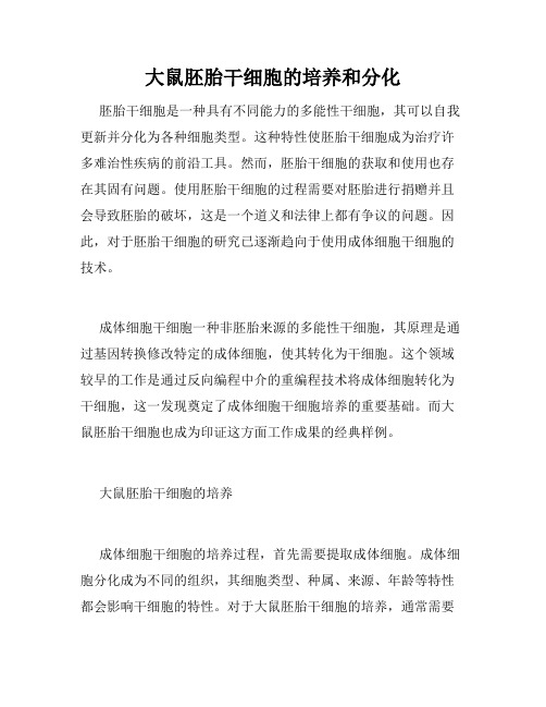 大鼠胚胎干细胞的培养和分化