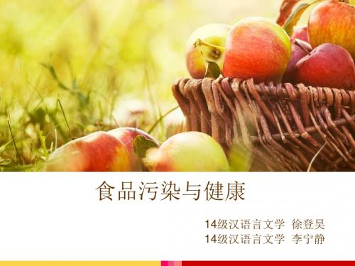 食品污染与健康