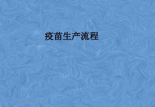 疫苗生产流程