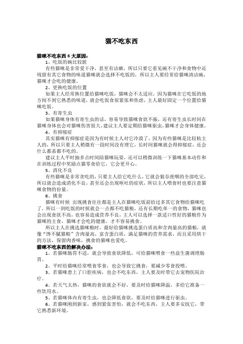 猫不吃东西