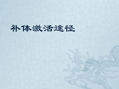 补体激活途径