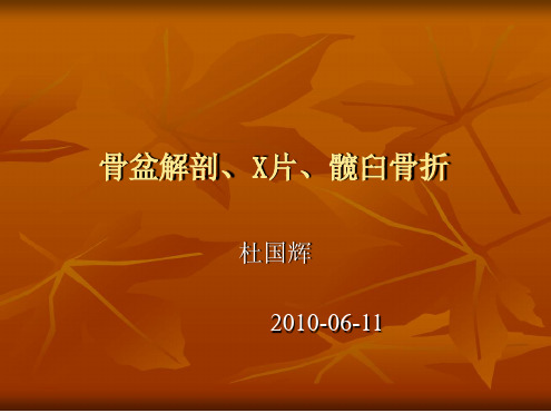 骨盆解剖及X片