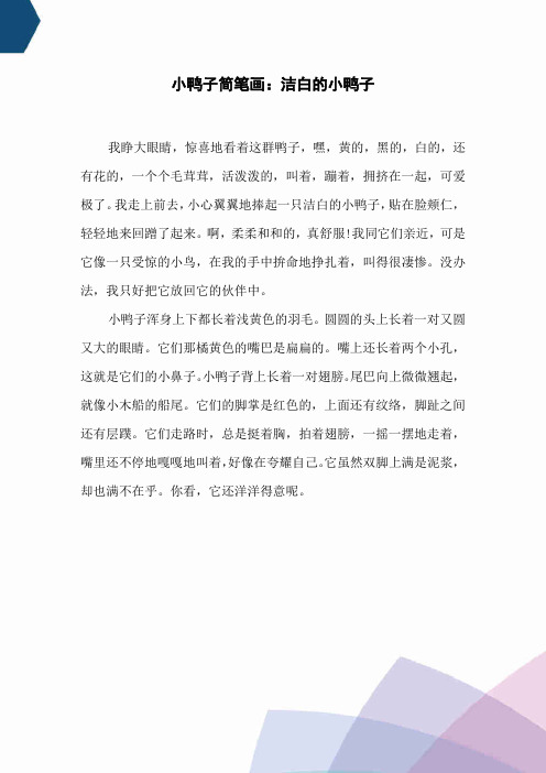 小鸭子简笔画：洁白的小鸭子