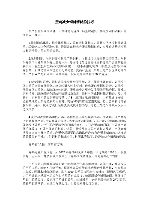 蛋鸡减少饲料消耗的技巧
