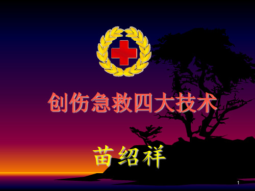 创伤四大救护技术