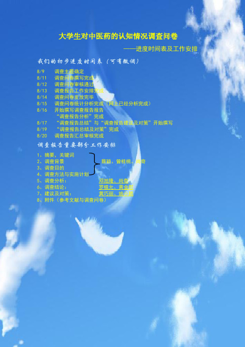 暑期问卷调查进度时间表及任务分配