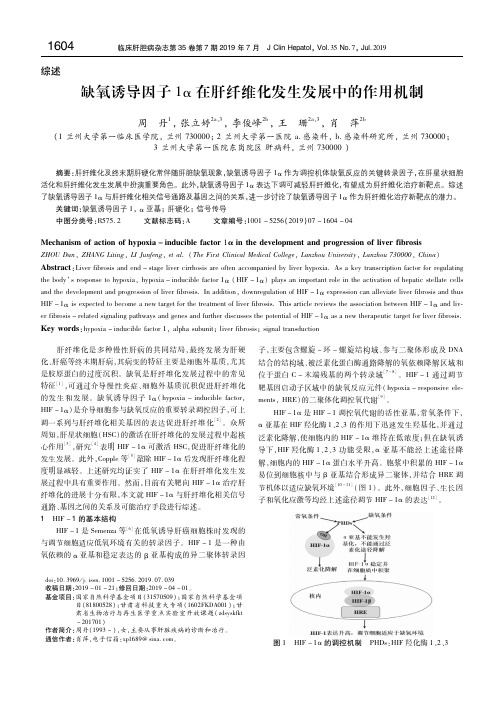 缺氧诱导因子1α在肝纤维化发生发展中的作用机制 周丹