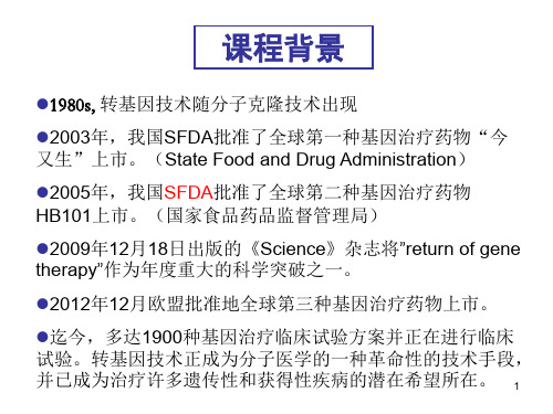 病毒转基因技术原理概述ppt课件