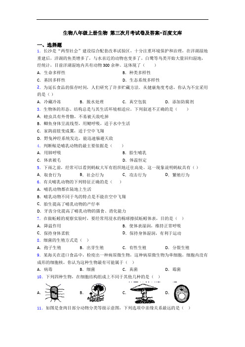 生物八年级上册生物 第三次月考试卷及答案-百度文库