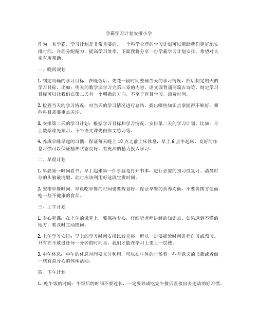 学霸学习计划安排小学