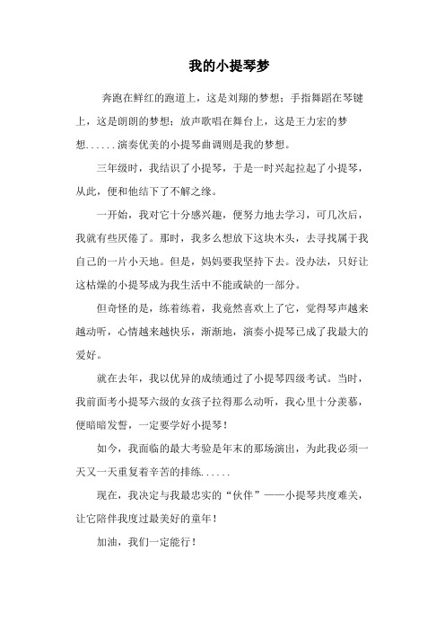 我的小提琴梦