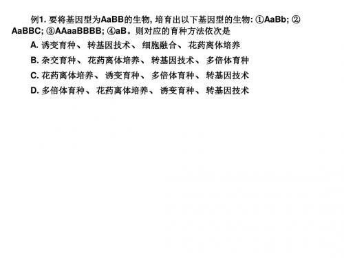 湖南省长沙市长郡中学2016年高三生物复习课件《杂交育种与诱变育种》 (共64张PPT)