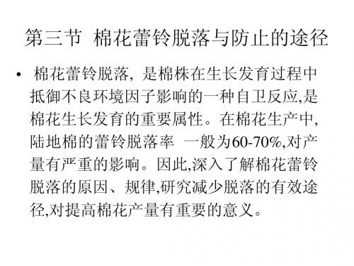 棉花栽培教学幻灯3