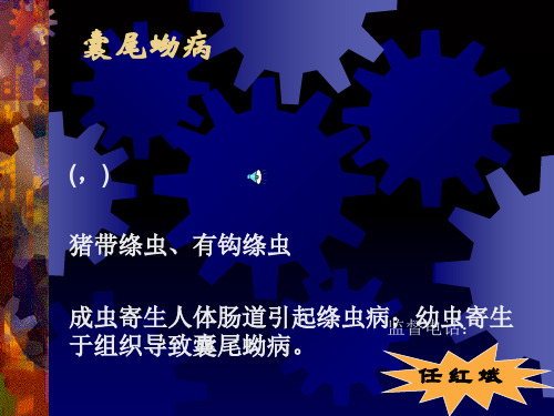 链状带绦虫猪带绦虫病囊尾蚴病