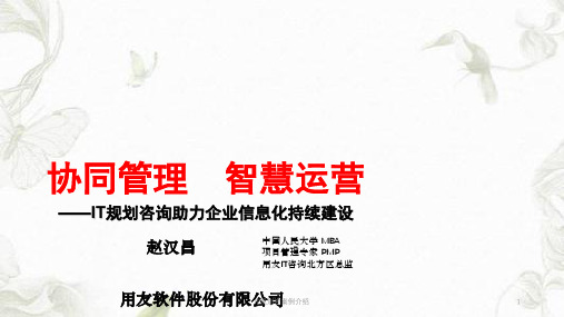 IT规划咨案例介绍课件