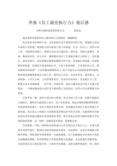 李强《员工最佳执行力》观后感