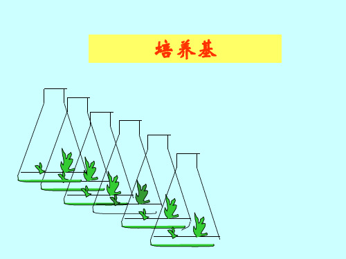 培养基的成分