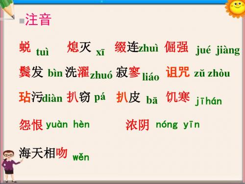 七年级语文上册《理想》课件 新人教版