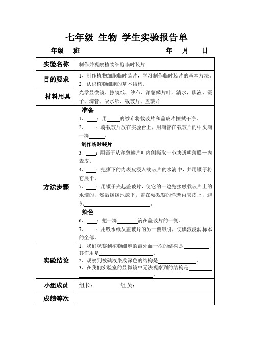人教版 七年级 生物制作并观察植物细胞临时装片  实验报告单
