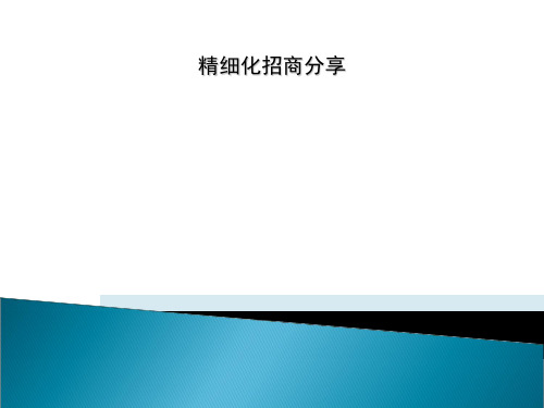 精细化招商分享